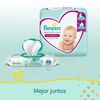 Premium-Care-Pañales-Desechable-Xg-(11-15Kg)-X42-imagen-4