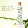 Shampoo-Nutrient-Blends-Multiplicador-de-Volumen-Bambú-&-Pantenol-270-ml-imagen-3