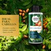 Crema-de-Peinar-Argan-Control-Frizz-300mL-imagen-3