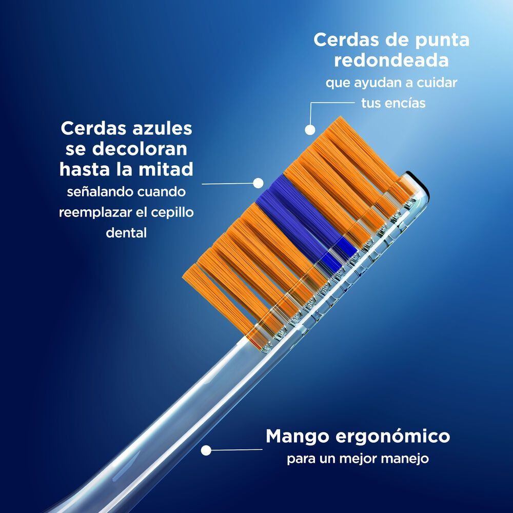 Cepillos-dentales-Indicator-4-Unidades-imagen-4