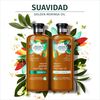 Estuche-Golden-Moringa-Shampoo-400-mL-+-Acondicionador-400-mL-imagen-2