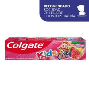 Kids-Gel-Dental-Gel-Dental-de-50-gr.-imagen