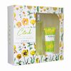 Citrik-Colonia-Edición-Natural-Spray-100-mL-+-Coral-Citrik-Body-Lotion-70-mL-imagen