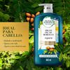 Acondicionador-Herbal-Essences-Bío:Renew-Aceite-De-Argán-865-ml-imagen-2