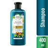 Renew-Repair-Argan-Oil-Of-Morocco-Shampoo-400ml-imagen-1