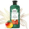 Shampoo-6X-Aloe-y-Mango-Protege-y-Repara-400-mL-imagen-2