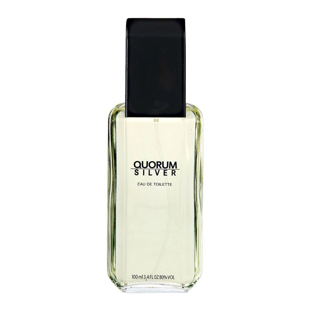 Silver Eau de Toilette de 100 mL