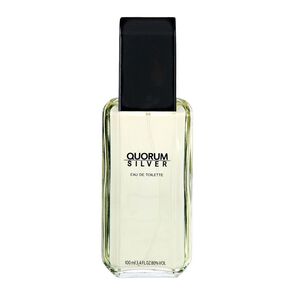 Silver-Eau-de-Toilette-de-100-mL-imagen