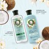 Hidrat.-Agua-De-Coco-y-jazmín-Shampoo-400-ml+-Acondicionador-400-ml-imagen-2