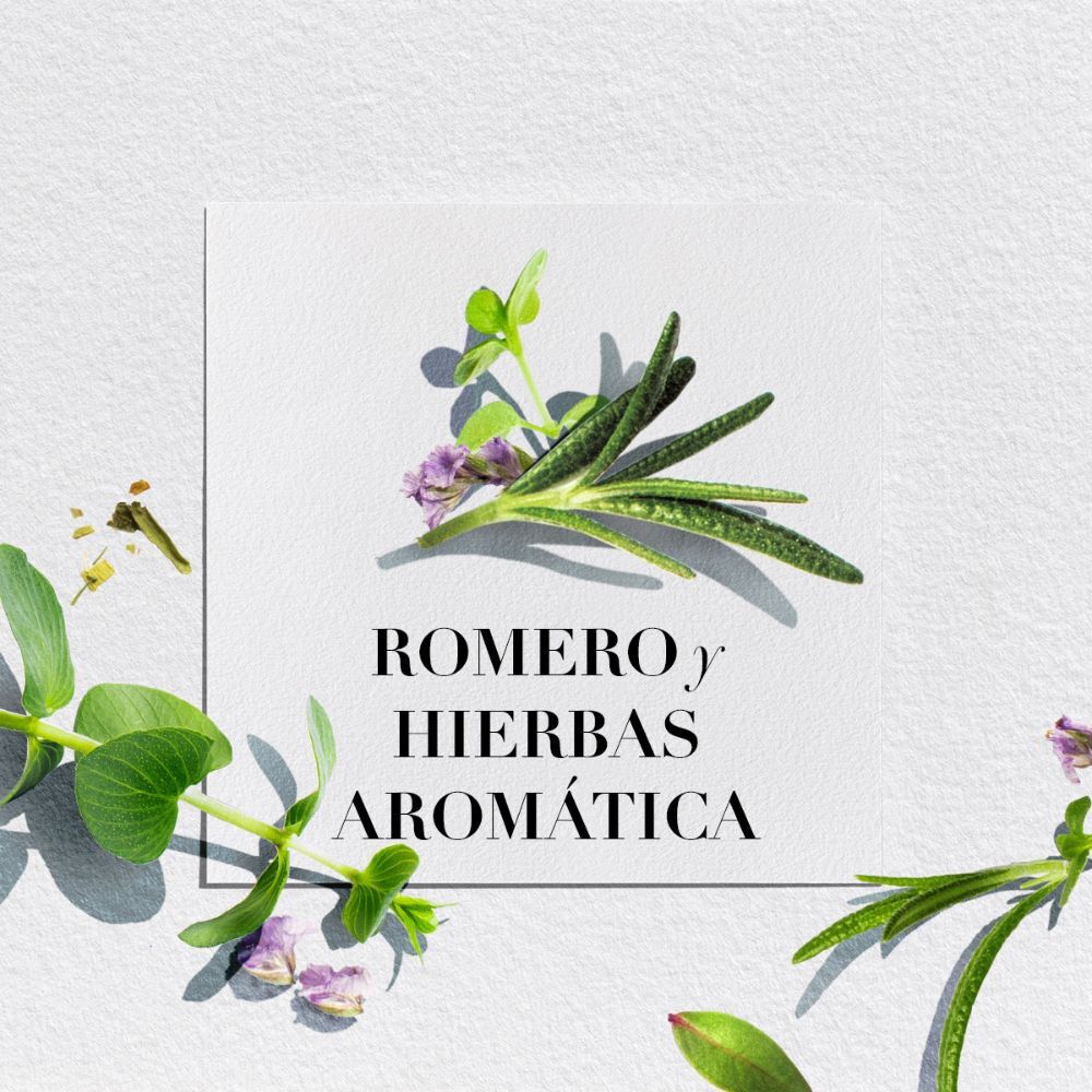 Bío-Renew-Moisture-Rosemary-&-Herbs-Acondicionador-400-mL-imagen-2