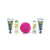 Set-Crema-Manos-Vainilla-50-mL-X2-+-Shower-Gel-100-mL-+-Esponja-+-Body-Loción-100-mL-imagen-3