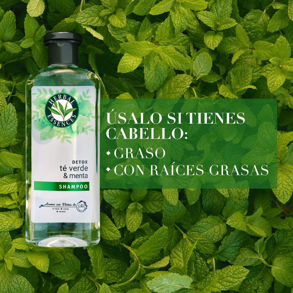 Shampoo-Detox-Té-verde-&-menta-400-ml-imagen-3