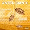 Shampoo-Antioxidante-415-mL-imagen-4