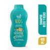 Shampoo-Rizos-y-Risas-imagen