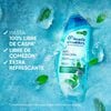 Shampoo-Anti-Comezón-con-menta-650ml-imagen-2