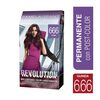 Tintura-Re-Evolution-Guinda-666-47-gr-imagen