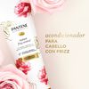 Acondicionador-Nutrient-Blends-Control-de-Frizz-Instantáneo-Pantenol-&-Extracto-de-Rosa-235-ml-imagen-2