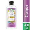bío:renew-Moisture-Rosemary-&-Herbs-Shampoo-400-mL-imagen-1