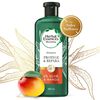 Shampoo-6X-Aloe-y-Mango-Protege-y-Repara-400-mL-imagen-3