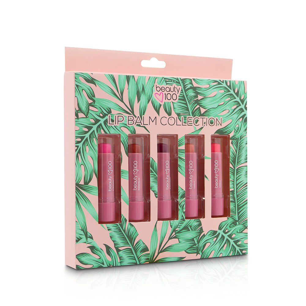 Estuche Set Balsamo Labial Tinted 3,5 Gr X5
