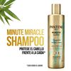 Pro-V-Shampoo-Minute-Miracle-Bambú-Nutre/Crece-Control-Caída-480-mL-imagen-5