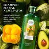 Shampoo-sin-sal-Nutre-e-Hidrata-400ml-imagen-2