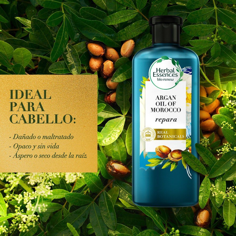 Shampoo-y-Acondicionador-Herbal-Essences-Aceite-de-Argán-Repara-400ml-+-400ml-imagen-3