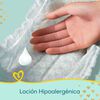 Pañales-XXG-60-Unidades-Premium-Care-imagen-4