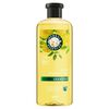 Shampoo-Classic-Shine-400-mL-imagen-5