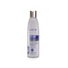 Blue-Therapy-Silver-Shampoo-Libre-de-Sal-y-Sulfato-250-mL-imagen-1