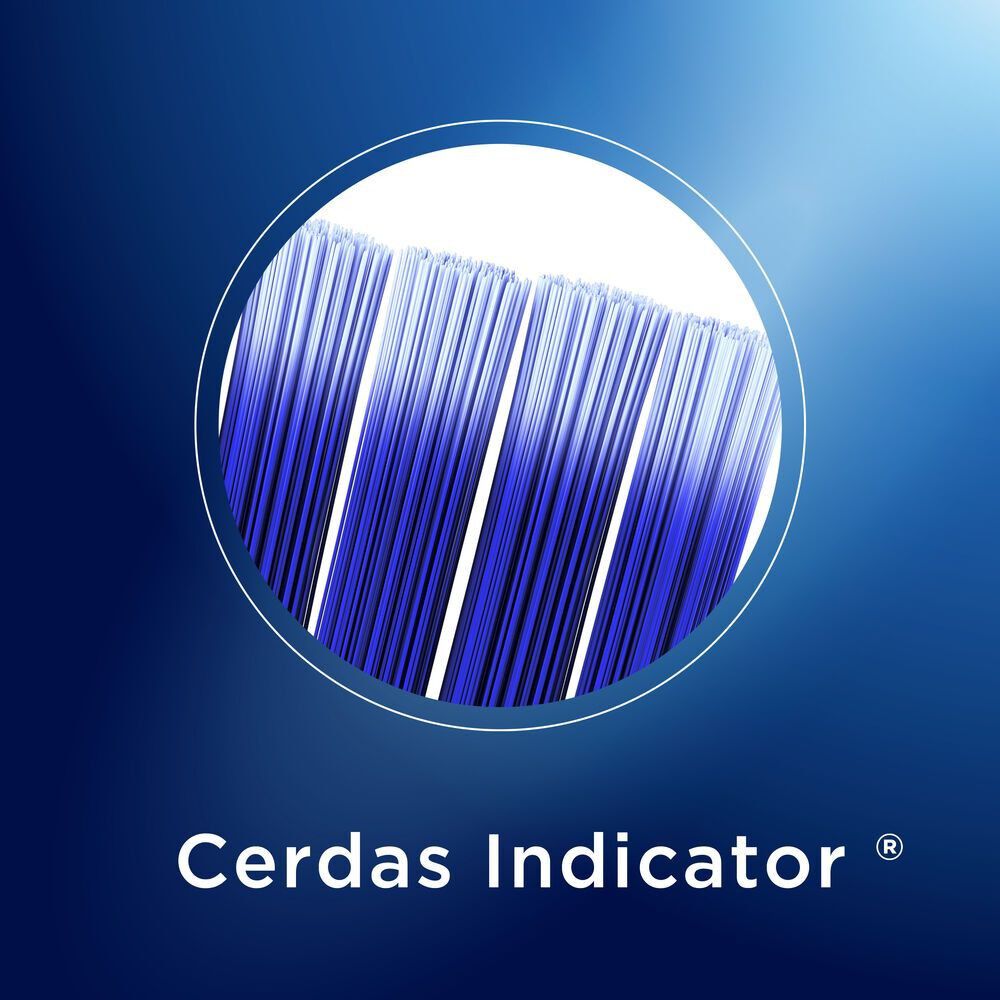 Cepillos-dentales-Indicator-4-Unidades-imagen-3