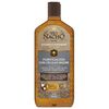 Anti-Caida-Purificación-con-Célula-Madre-Shampoo-415-mL-+-Acondicionador-415-mL-imagen-4