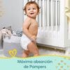 Premium-Care-Pañales-Desechables-G-72-Unidades-imagen-2