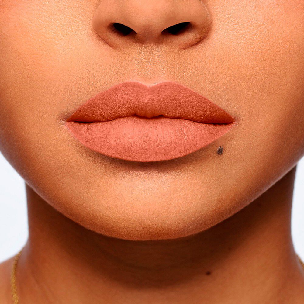 Labial-Color-Riche-Intense-Volume-Matte---505-Le-Nude-Resilient-imagen-4