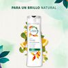 Detox-Brillo-Shampoo-300ml-imagen-5