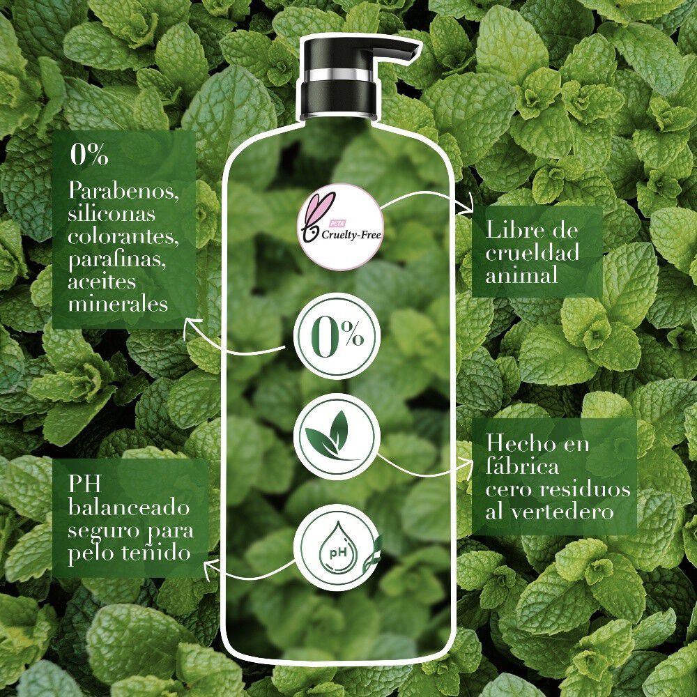 Shampoo-Herbal-Essences-Detox-Té-verde-&-menta-600-ml-imagen-5