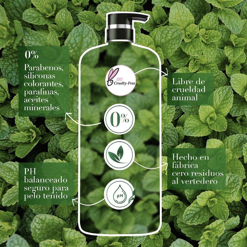 Shampoo-Herbal-Essences-Detox-Té-verde-&-menta-600-ml-imagen-5