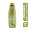 Acondicionador-Fuerza-&-hidratación-Té-Verde/Manzana-y-Jengibre-385-ml-imagen