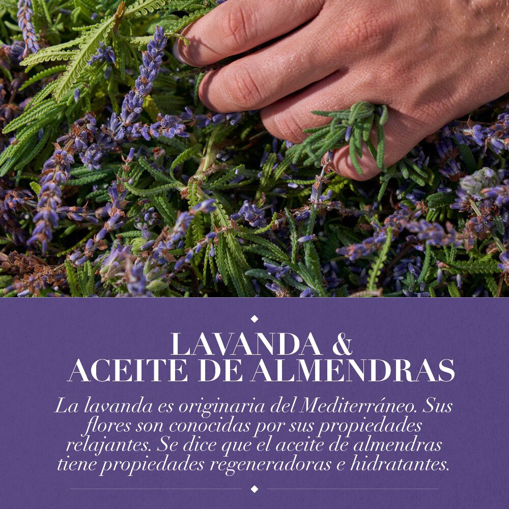Shampoo-Antifrizz-Lavanda-&-aceite-de-almendras-400-ml-imagen-4
