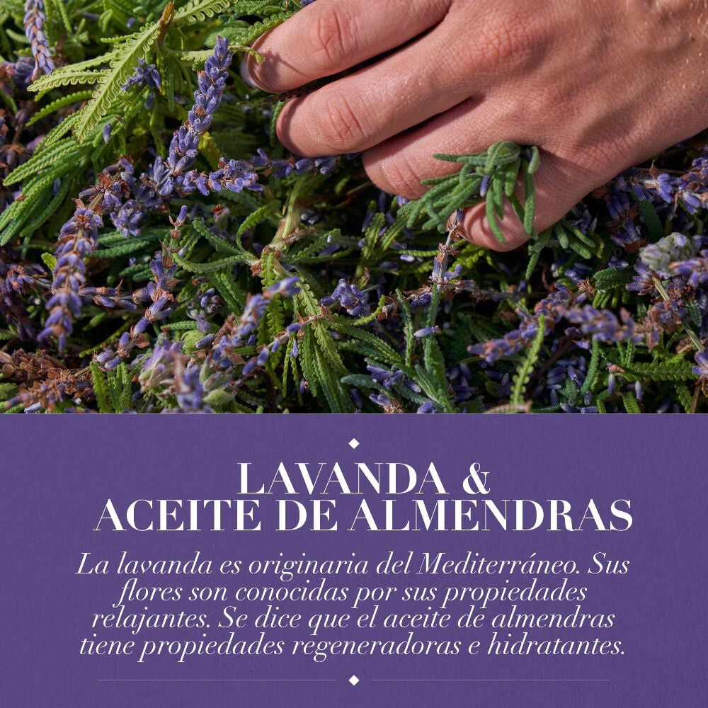 Shampoo-Antifrizz-Lavanda-&-aceite-de-almendras-400-ml-imagen-4
