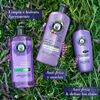 Shampoo-Herbal-Essences-Antifrizz-Lavanda-240-ml-imagen-4