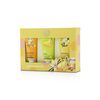 Set-3-Cremas-De-Manos-Vainilla-de-50-mL-imagen-3