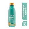 Acondicionador-Nutricion-Coco-y-Mango-385-mL-imagen