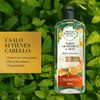 Shampoo-Pomelo-y-Menta-400-ml-imagen-3