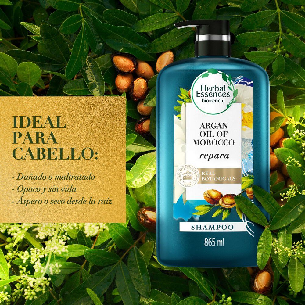 Shampoo-Bío-Renew-Aceite-De-Argrán-865-ml-imagen-2