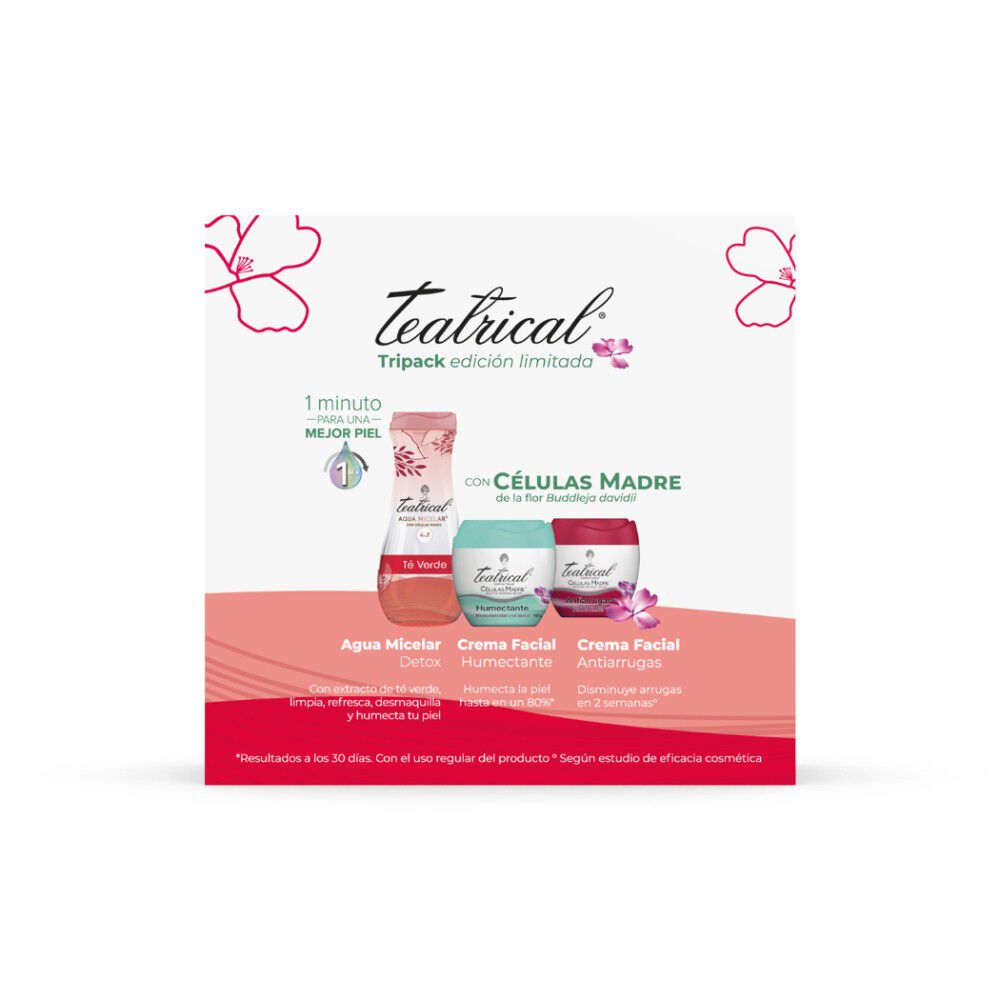 Teatrical Agua Micelar Detox+Crema Facial Humect.100 grs