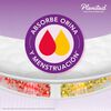 Toalla-Incontinencia-Noc-Plenitud-Fem-8U-imagen-5