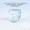 Pa&ntilde;ales-Huggies-Dermacare-0/RN-78U-imagen-5