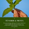 Shampoo-Detox-Té-verde-&-menta-400-ml-imagen-4