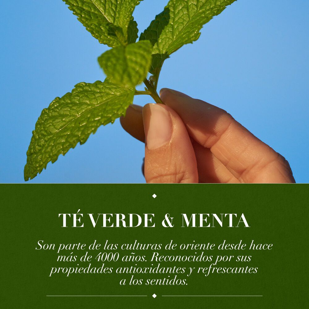 Shampoo-Detox-Té-verde-&-menta-400-ml-imagen-4